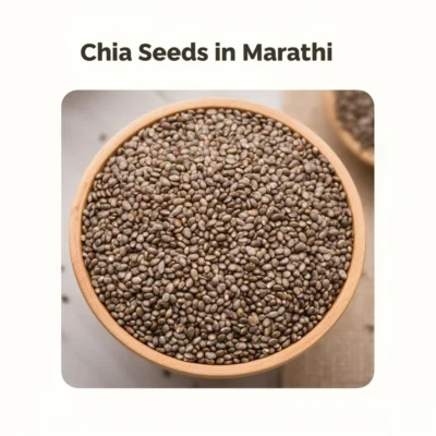 chia seeds in marathi illustration