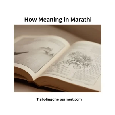 how meaning in marathi illustration